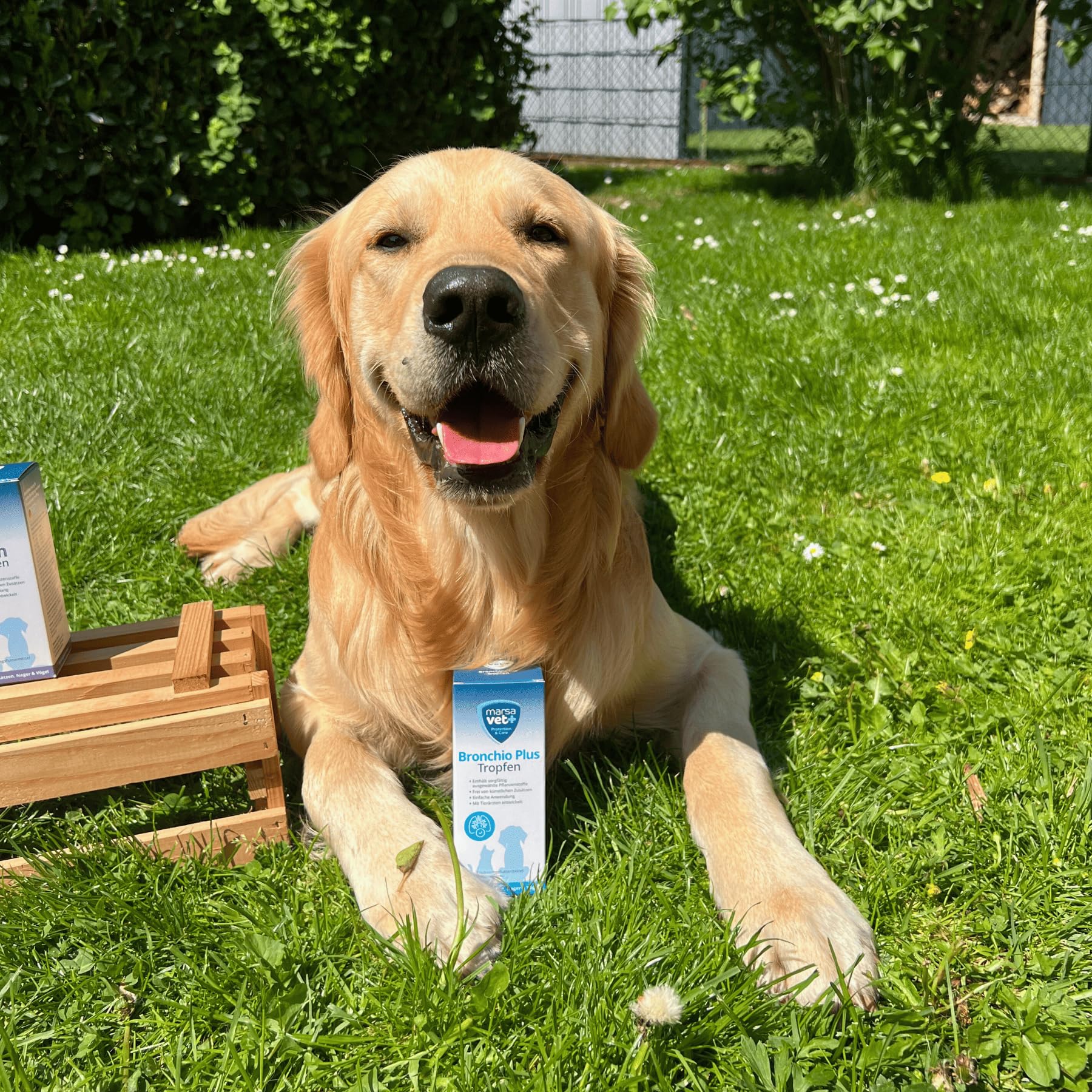 Marsavet Tropfen Bronchio Plus Atemwegs-Tropfen Hund Katze 100 ml