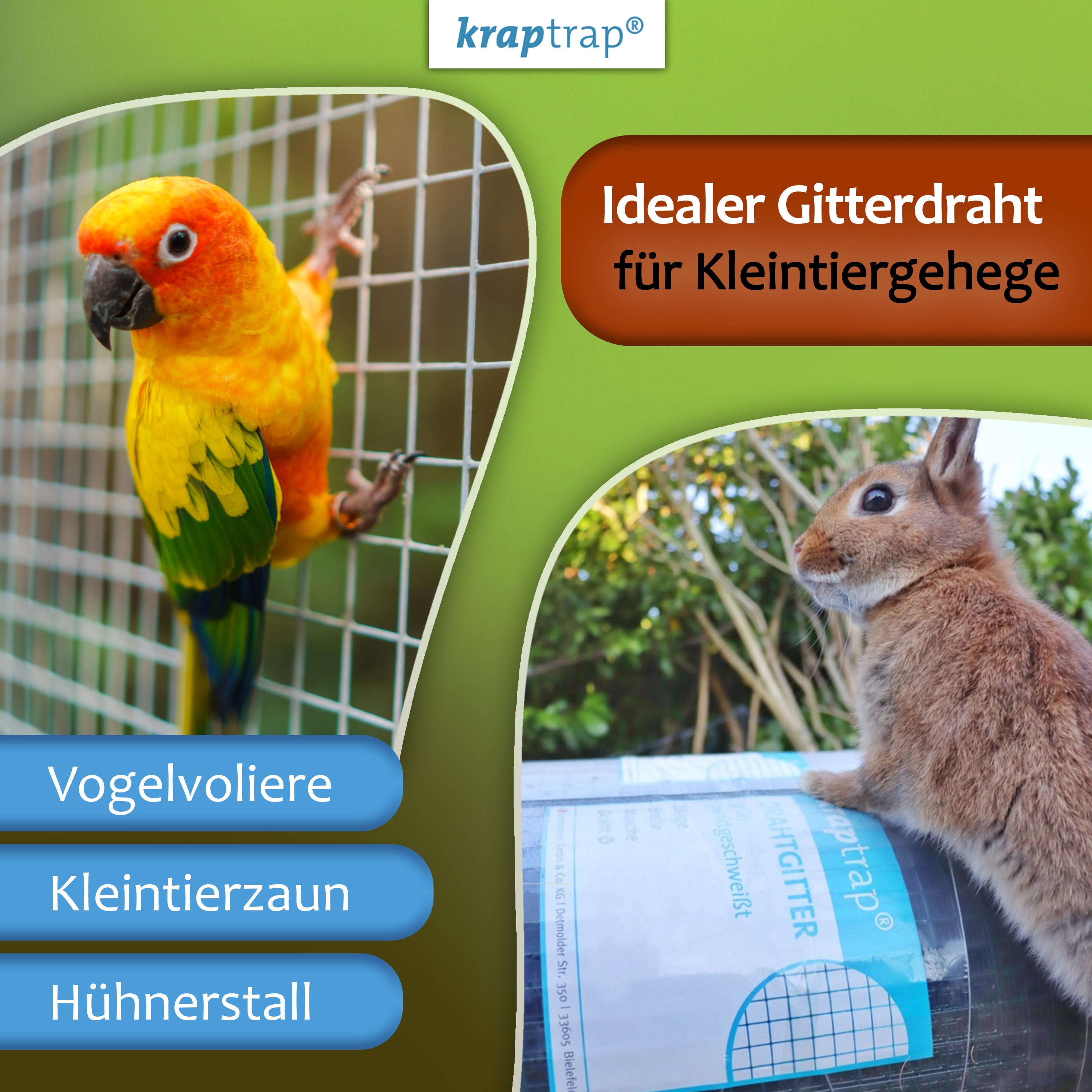 KrapTrap Volierendraht Drahtgitter 12x12 mm 20m Hasendraht
