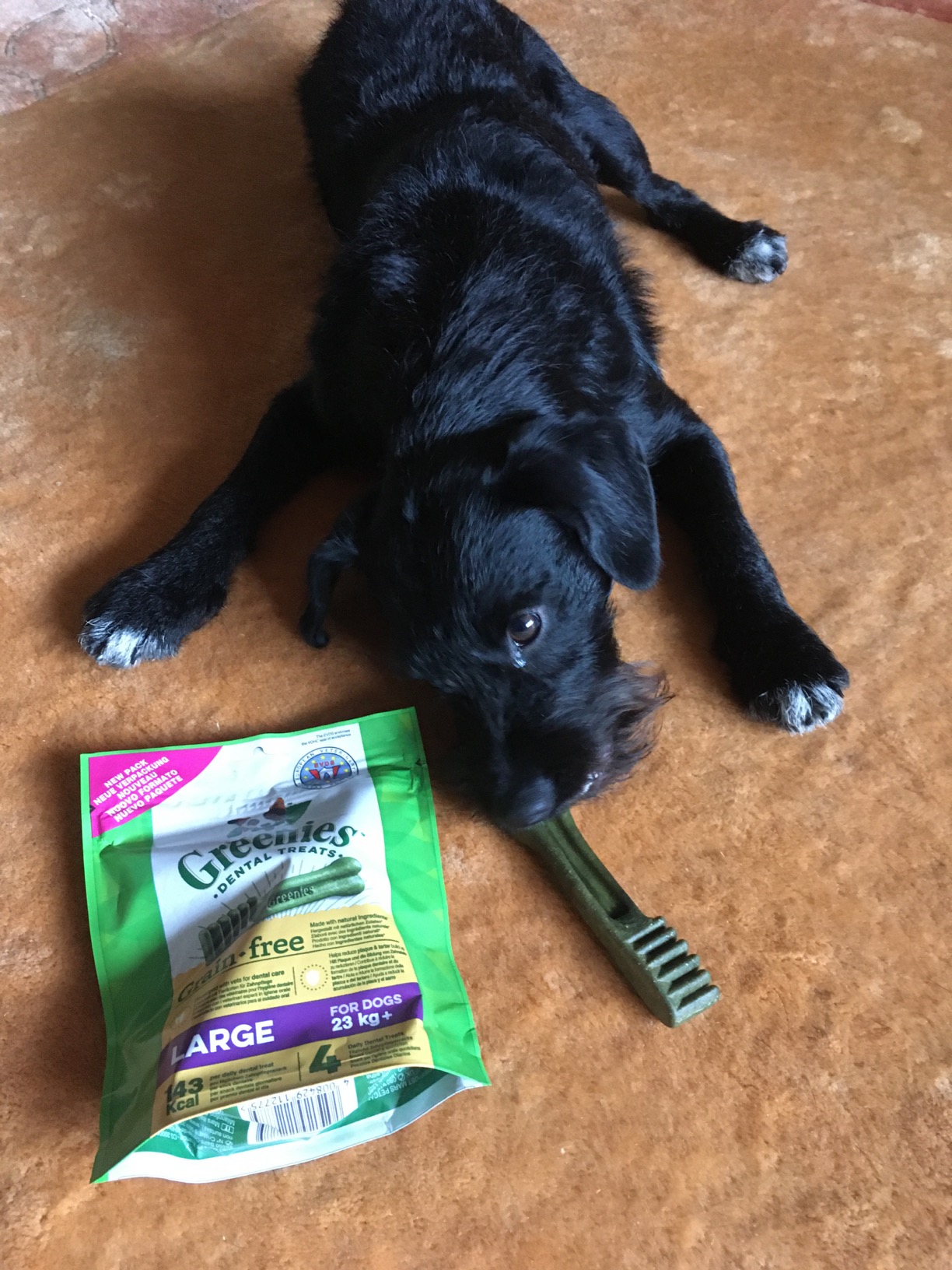 Greenies Dog Dental Treats Grain Free Large 2x170 g