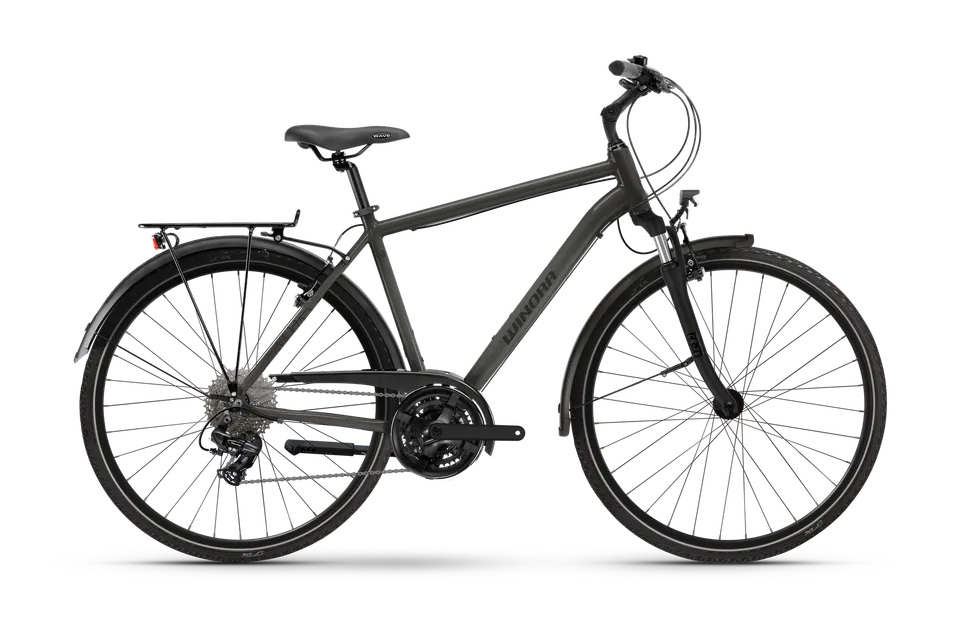 Winora Domingo X21 Trekkingrad Low urban slope glossy