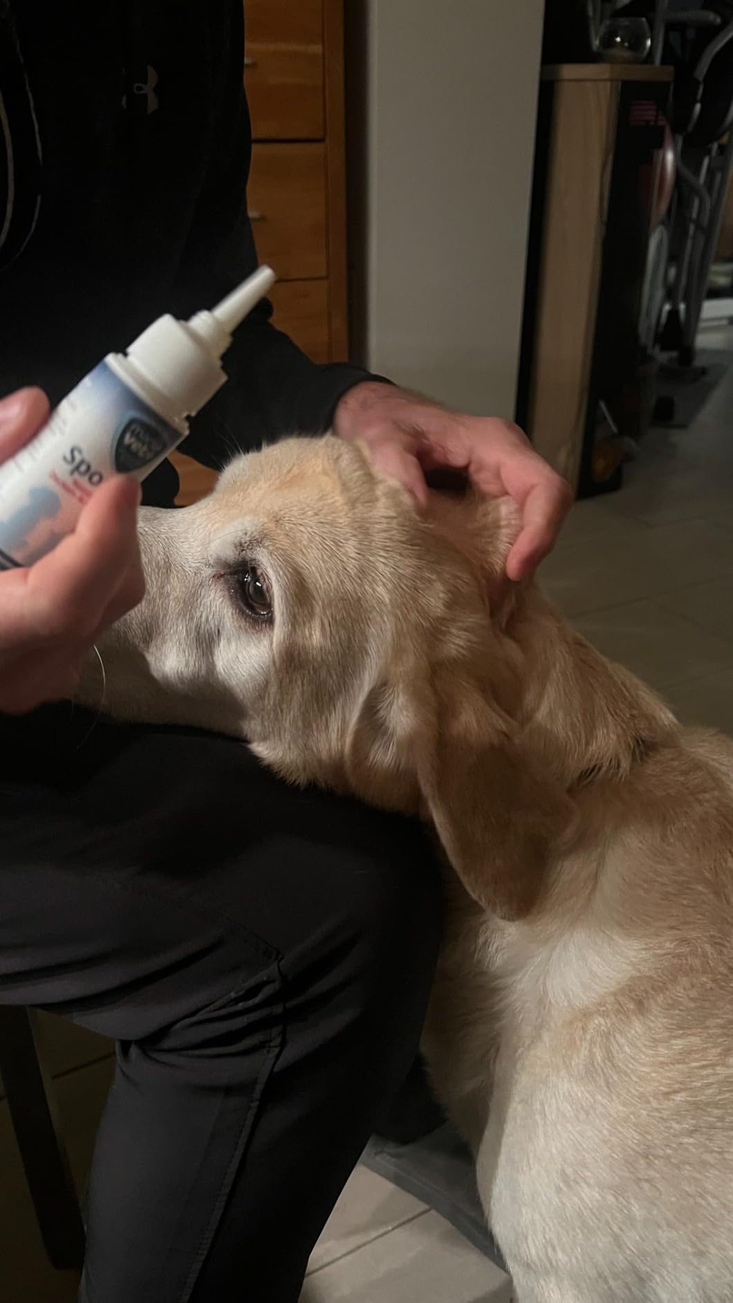 Marsavet Spot-on Zecken- Flohschutz Hund Katze natürlich 50 ml