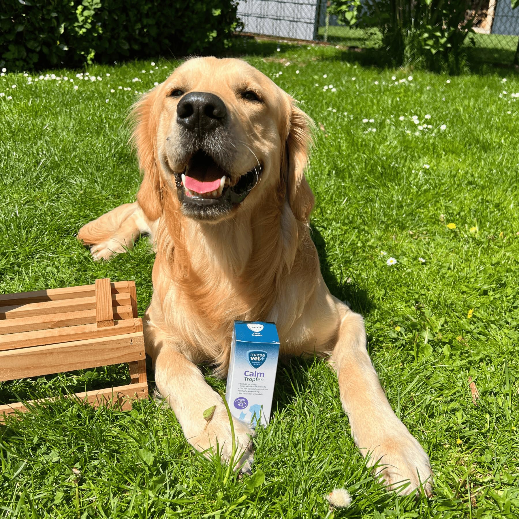 Marsavet Calm Tropfen 100 ml Beruhigung Hund Katze Lavendel