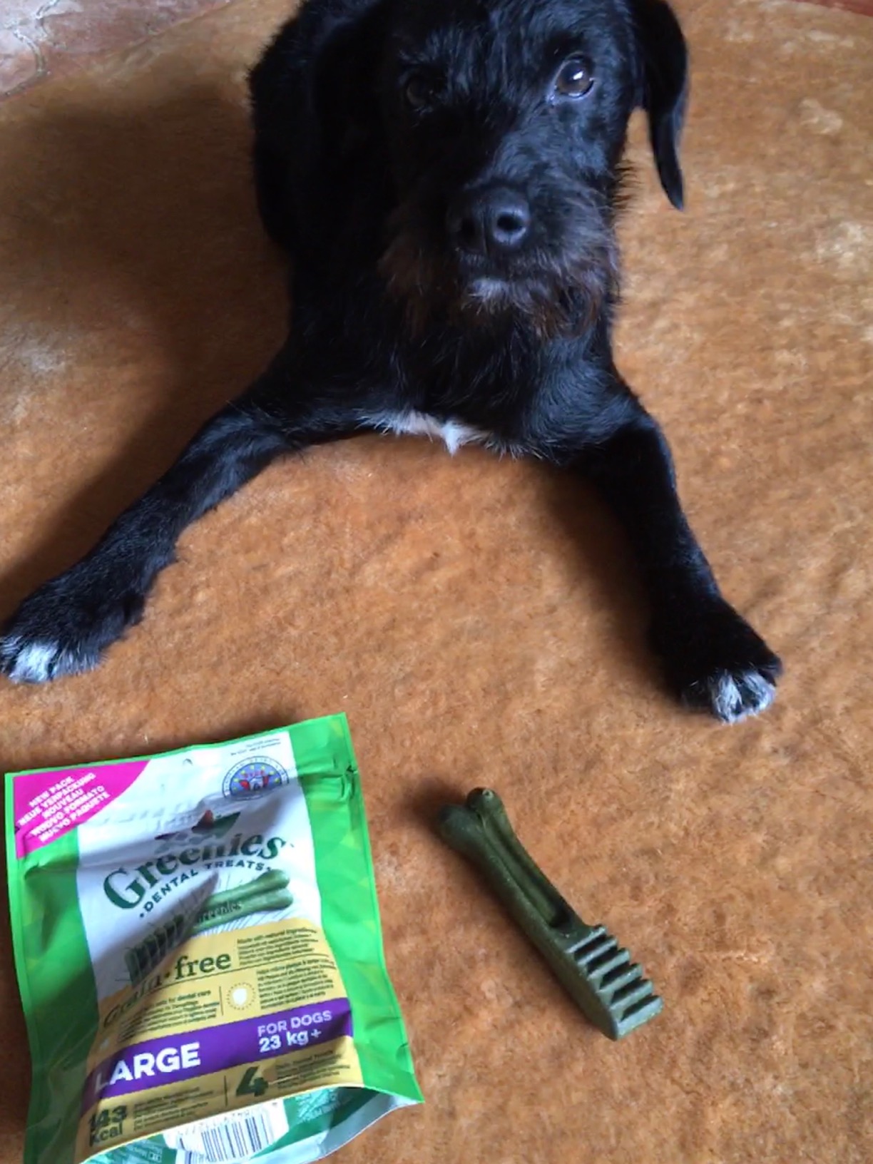 Greenies Dog Dental Treats Grain Free Large 2x170 g