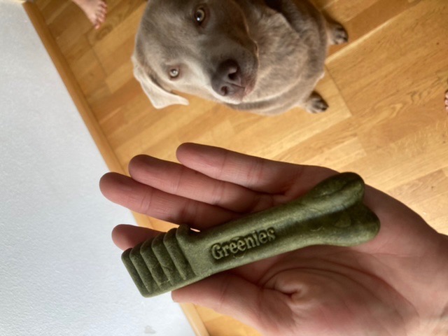 Greenies Dog Dental Treats Grain Free Large 2x170 g