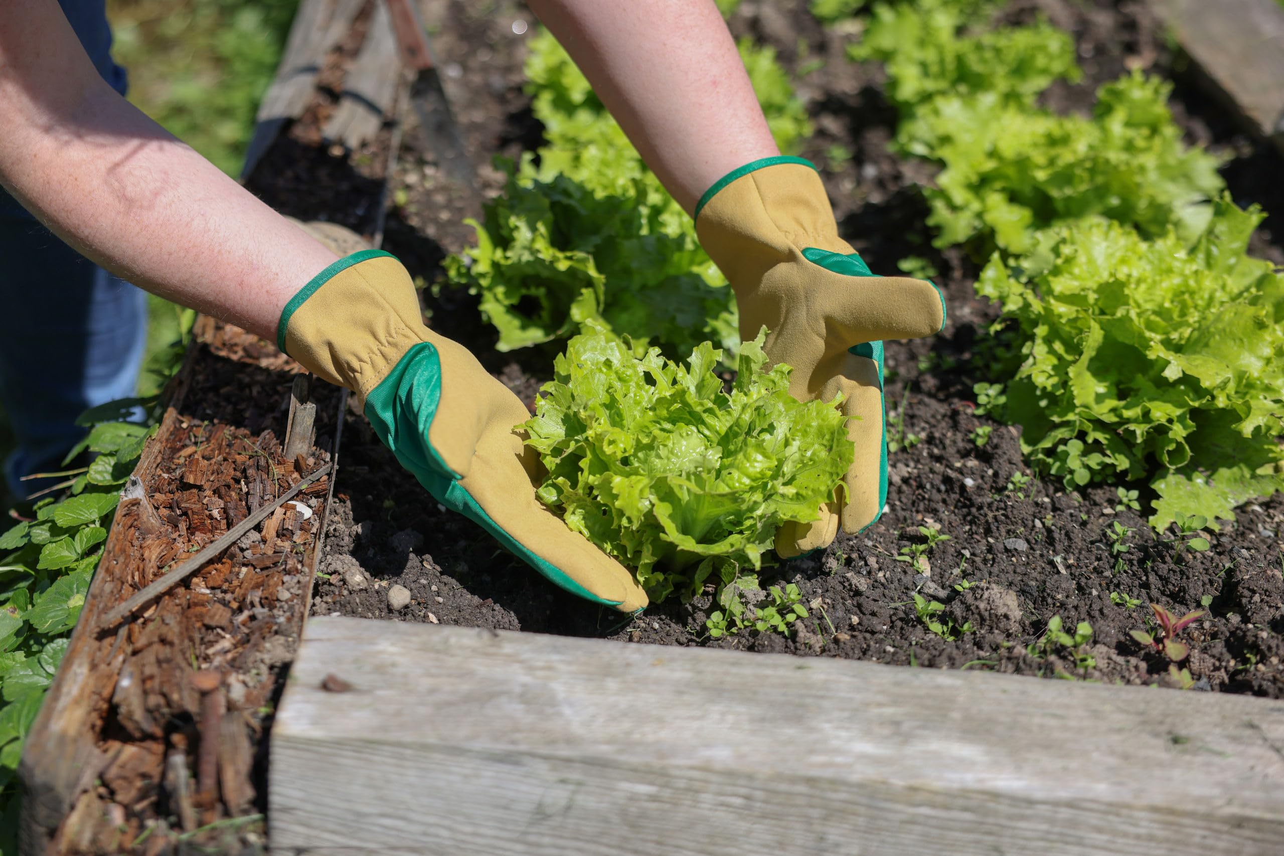 KERBL works Gardener Gartenhandschuh M wasserabweisend