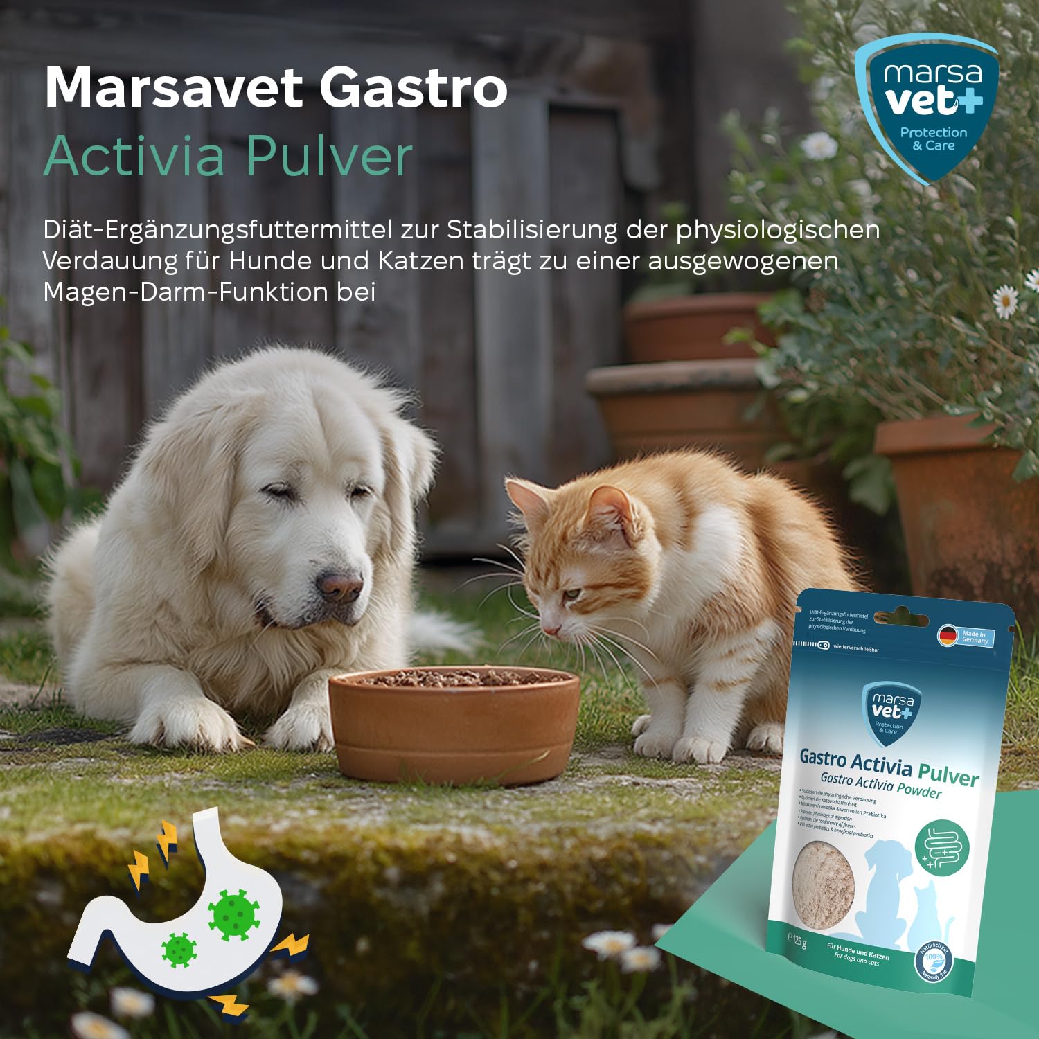 Marsavet Gastro Activia Pulver 125g Probiotika Verdauung