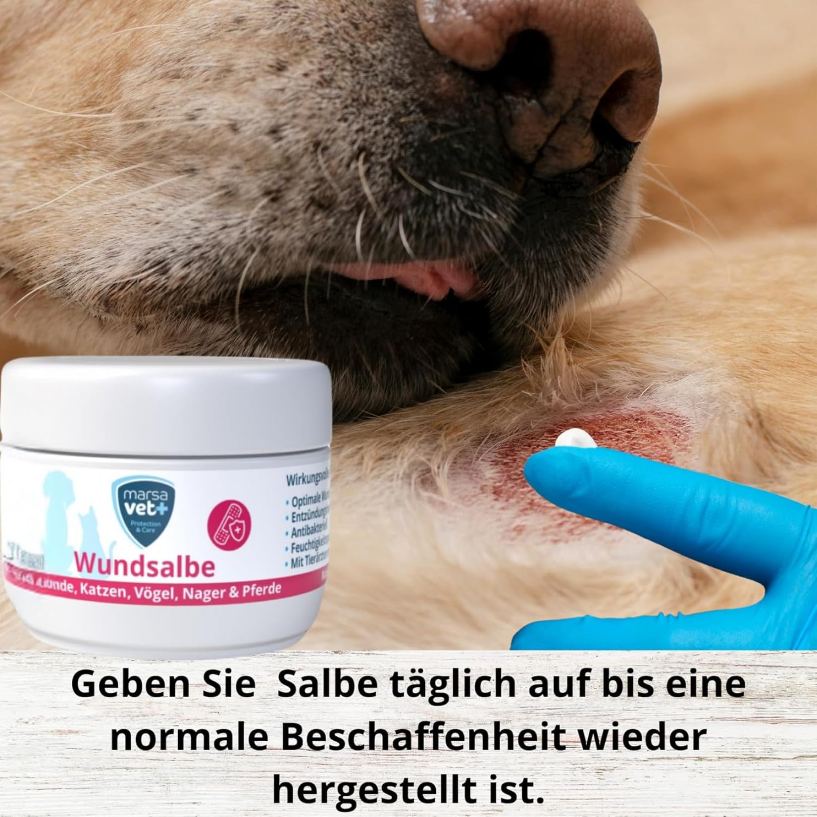 Marsavet Wundsalbe Wundsalbe Hund Katze Pferd Zink Propolis 30 ml