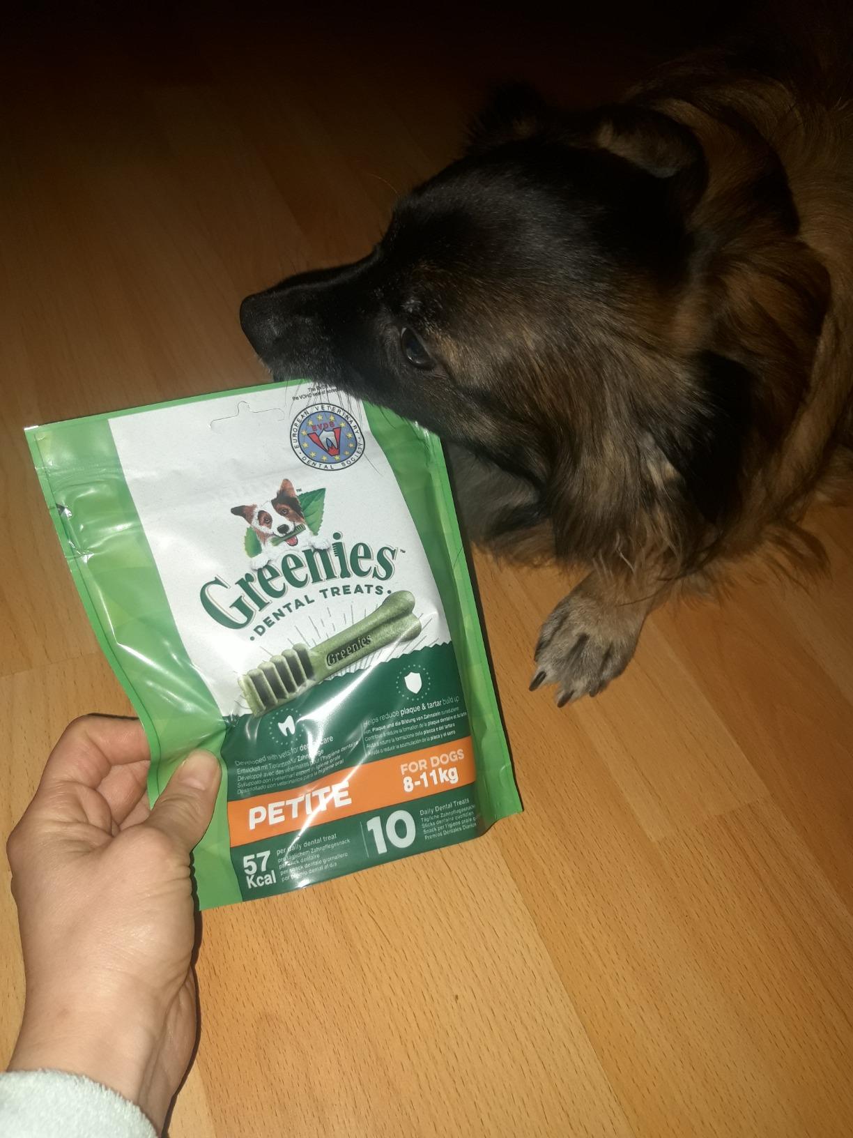 Greenies Original Petite Zahnpflegesnacks 3x170 g