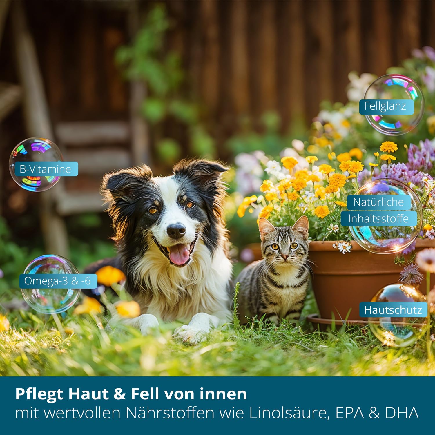 Marsavet Pulver Haut & Fell 125 g Hund Katze Bierhefe