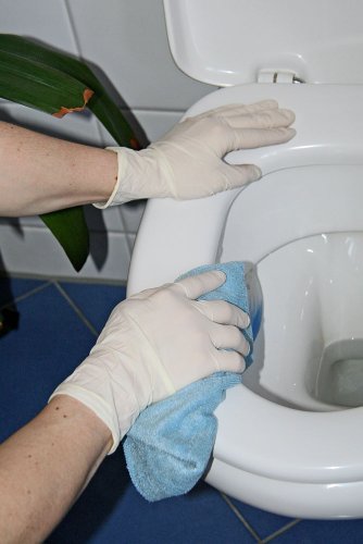 KERBL works Handschuhe Latex 100 Stk Größe M gepudert