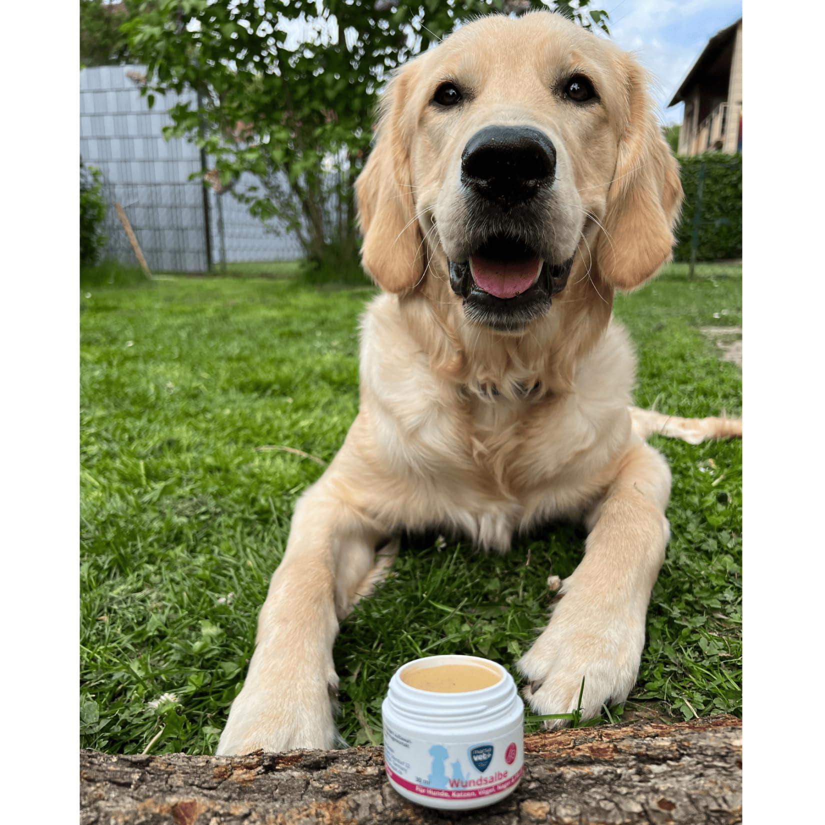 Marsavet Wundsalbe Wundsalbe Hund Katze Pferd Zink Propolis 30 ml