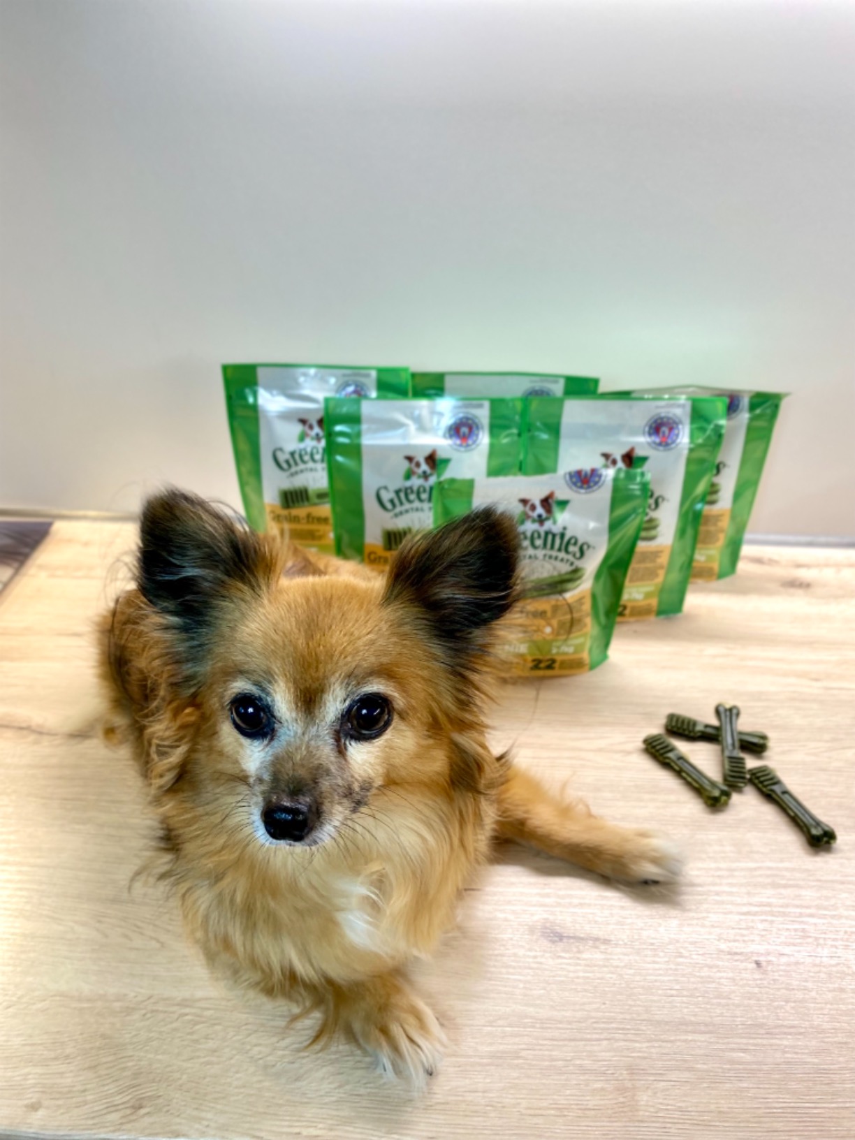 Greenies Dog Dental Treats Grain Free Teenie 2x170 g