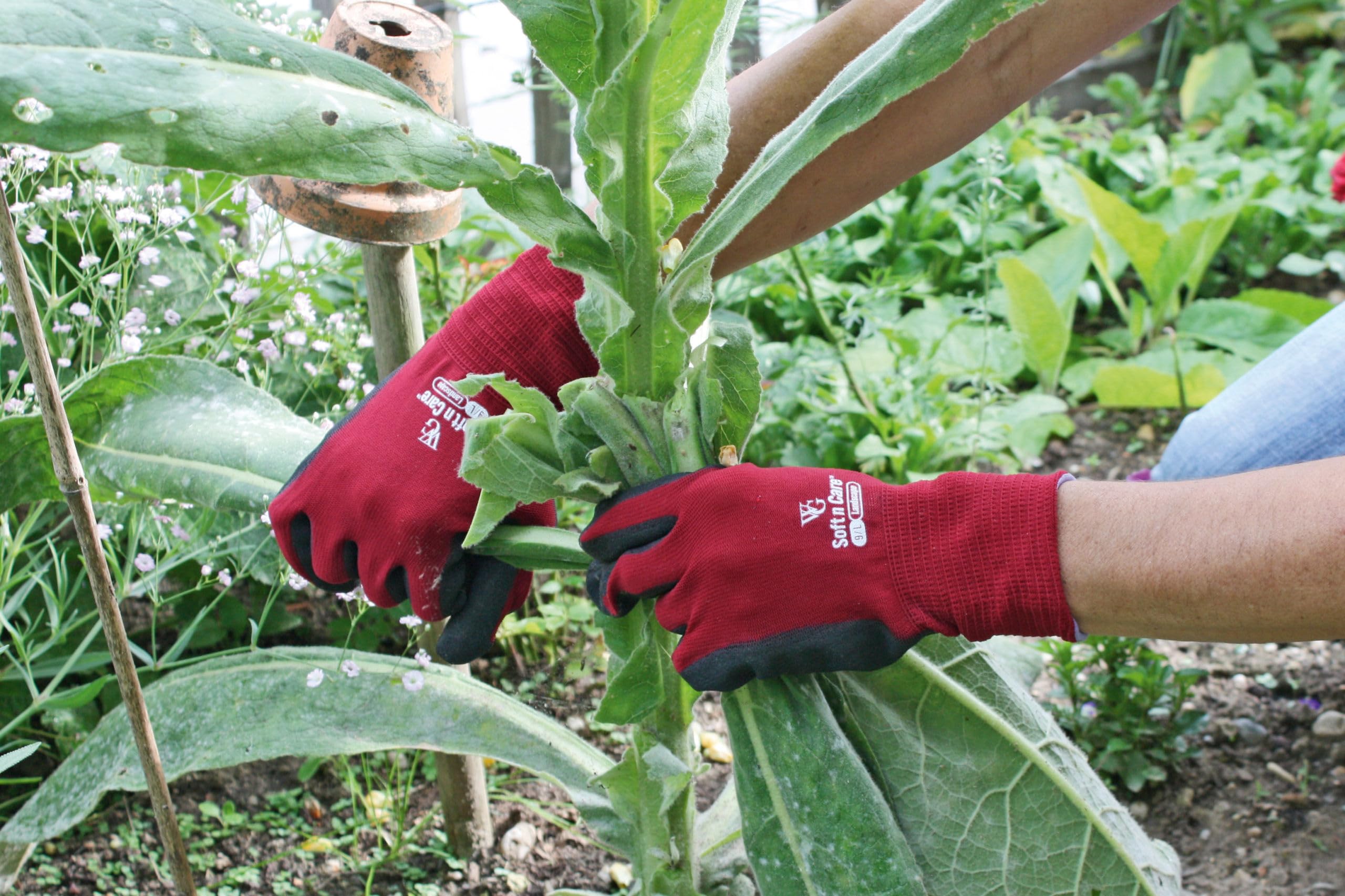 KERBL Handschuhe Soft N Care Landscape 8/M Nitril