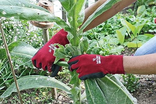KERBL Handschuhe Soft N Care Landscape 8/M Nitril