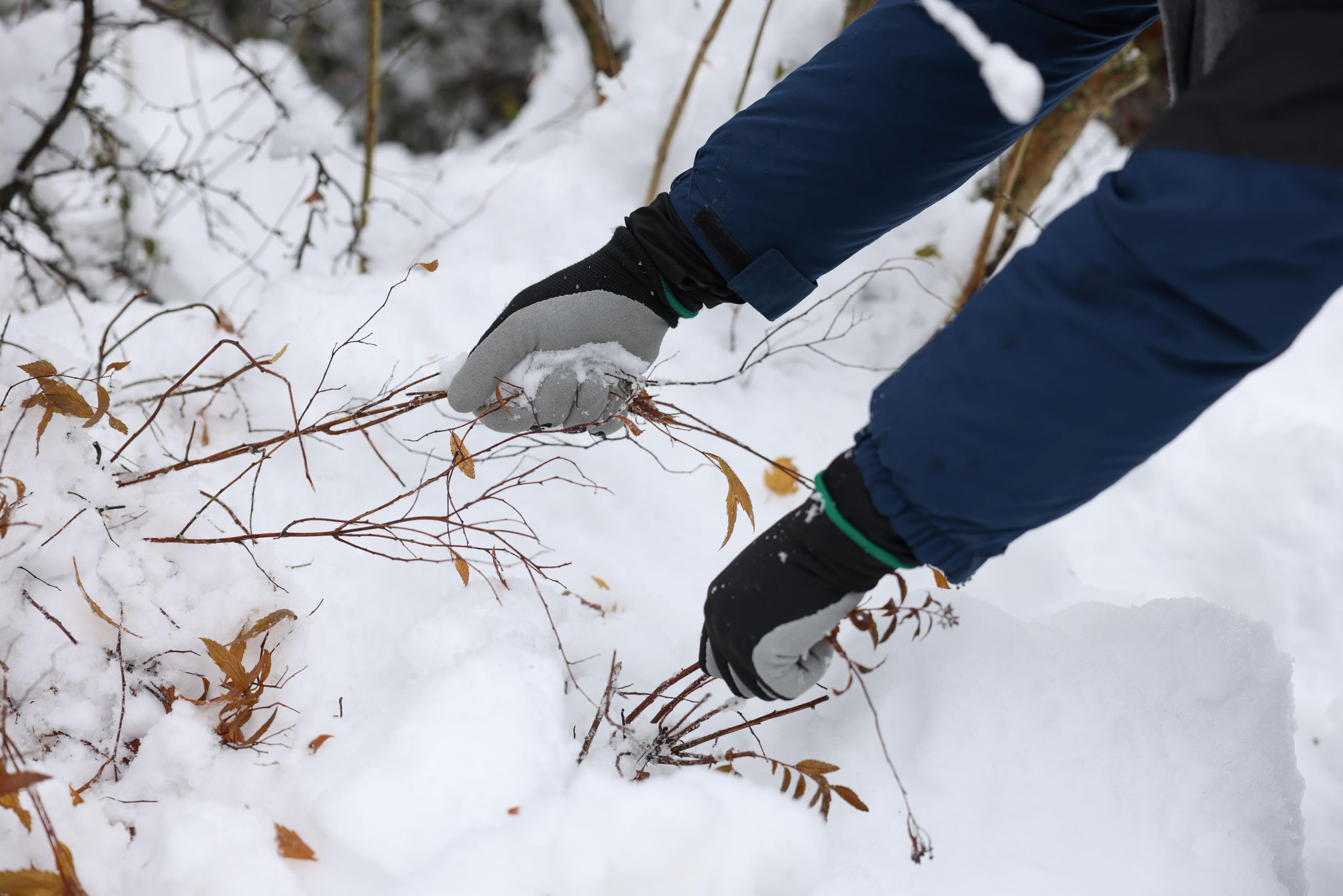 KERBL works Winter Lite Winterhandschuhe Gr. 9/L