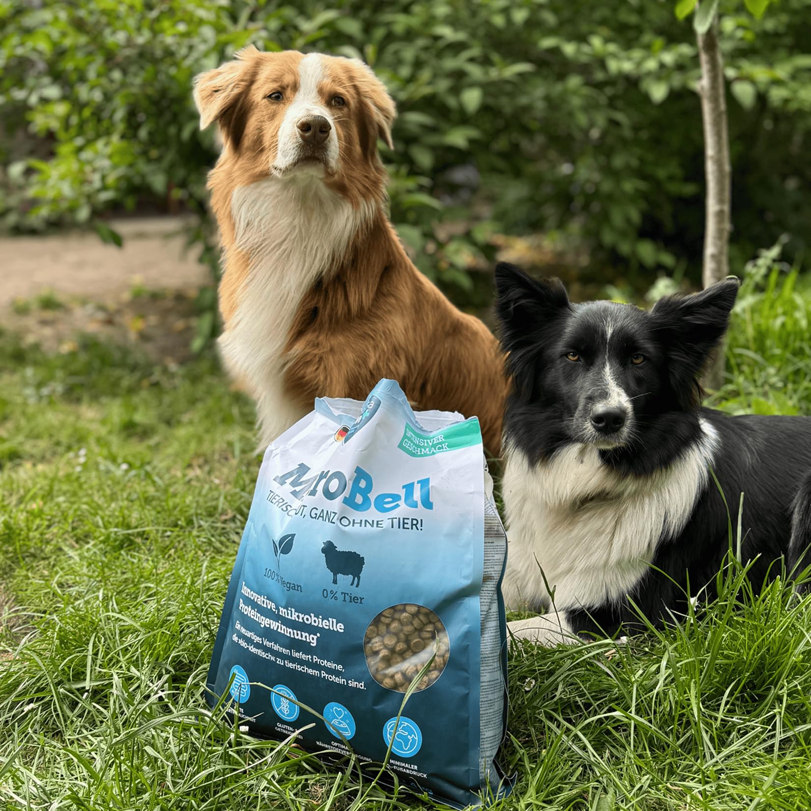 Marsavet MicroBell veganes Trockenfutter 9 kg sensitiv